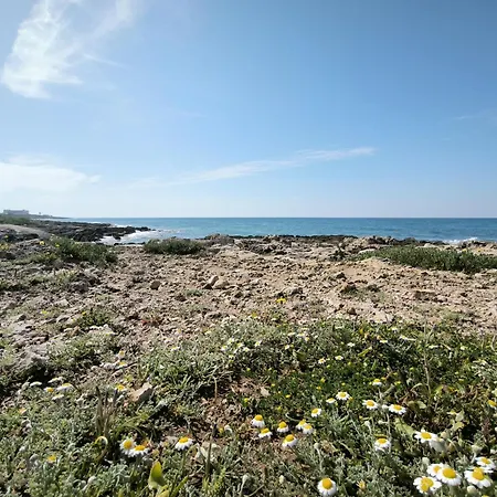 Apartment Perla Salentina Fronte Mare Puglia On Line *